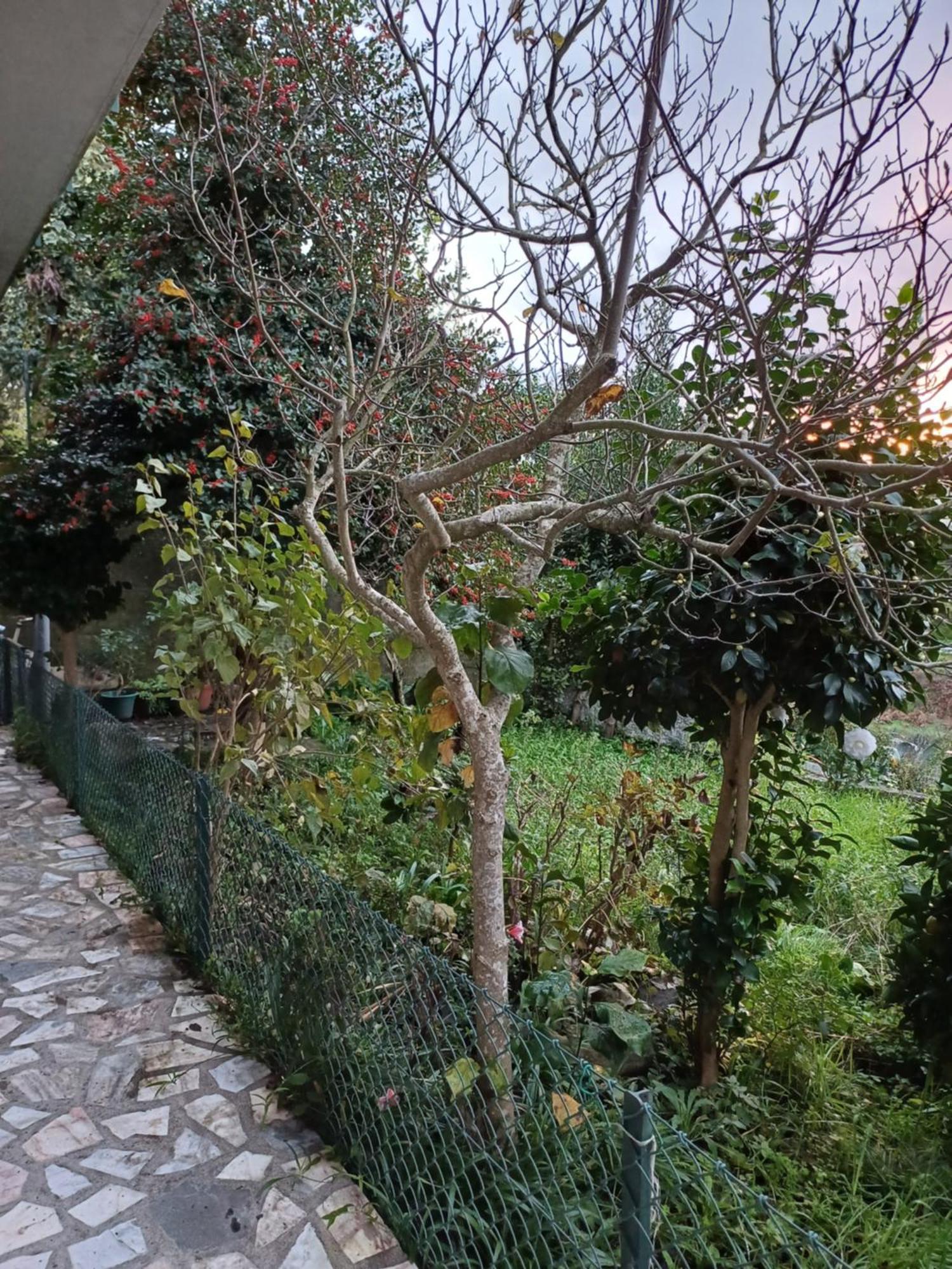 Amarante Residence Zewnętrze zdjęcie